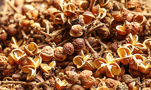 hạt mắc khén là gì