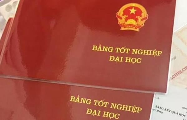 Giá Trị Bằng C&acirc;́p H&ecirc;̣ Đại Học Từ Xa Ng&agrave;nh Quản Trị Nh&acirc;n Lực Doanh Nghiệp Th&ecirc;́ Nào ?
