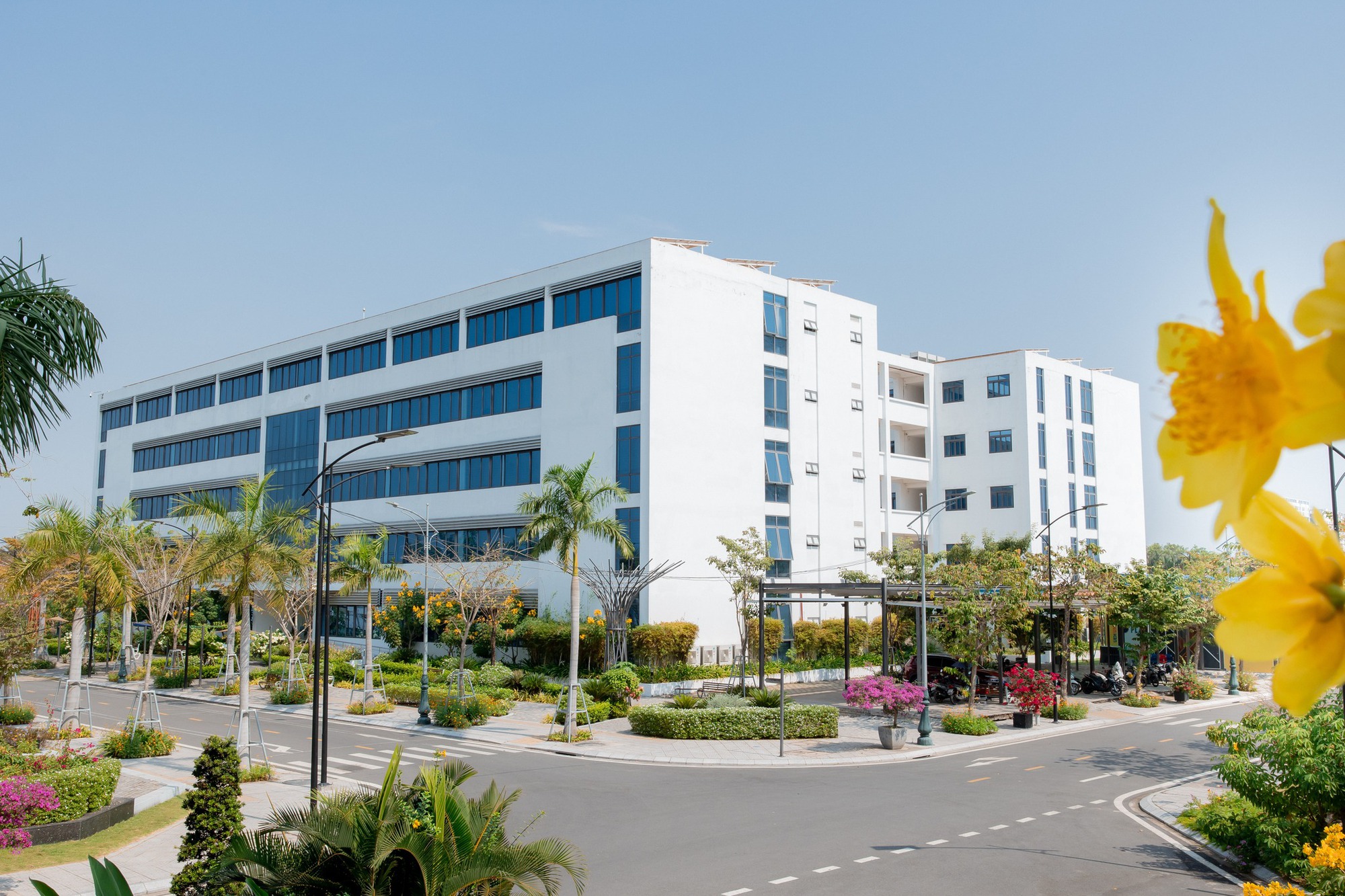 Lịch sử h&igrave;nh th&agrave;nh v&agrave; ph&aacute;t triển Đại học Kinh tế Th&agrave;nh phố Hồ Ch&iacute; Minh