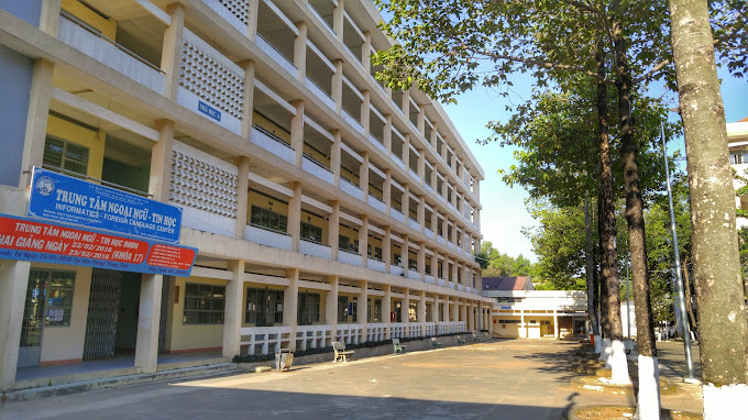 Chương Tr&igrave;nh Đ&agrave;o Tạo Đa Dạng