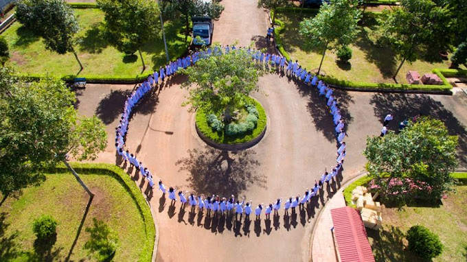 Cơ Hội Việc Làm Sau Tốt Nghiệp