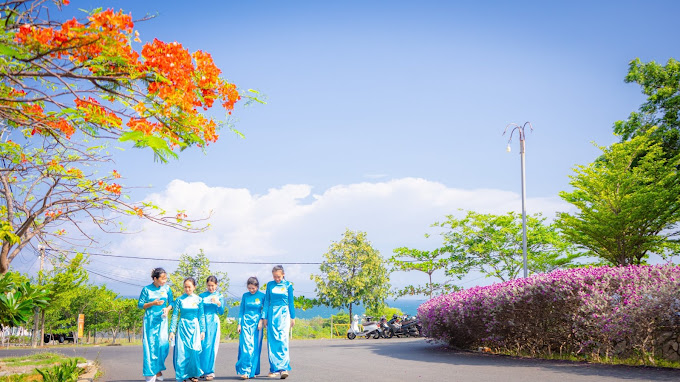 Sứ Mệnh và Tầm Nhìn