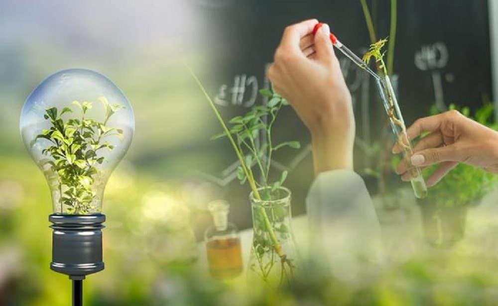 Ng&agrave;nh C&ocirc;ng nghệ kỹ thuật m&ocirc;i trường học những g&igrave;