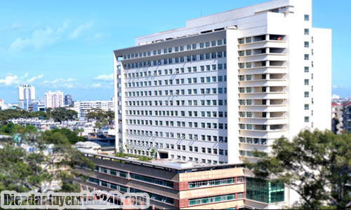 Đại học y được Đại học y dược